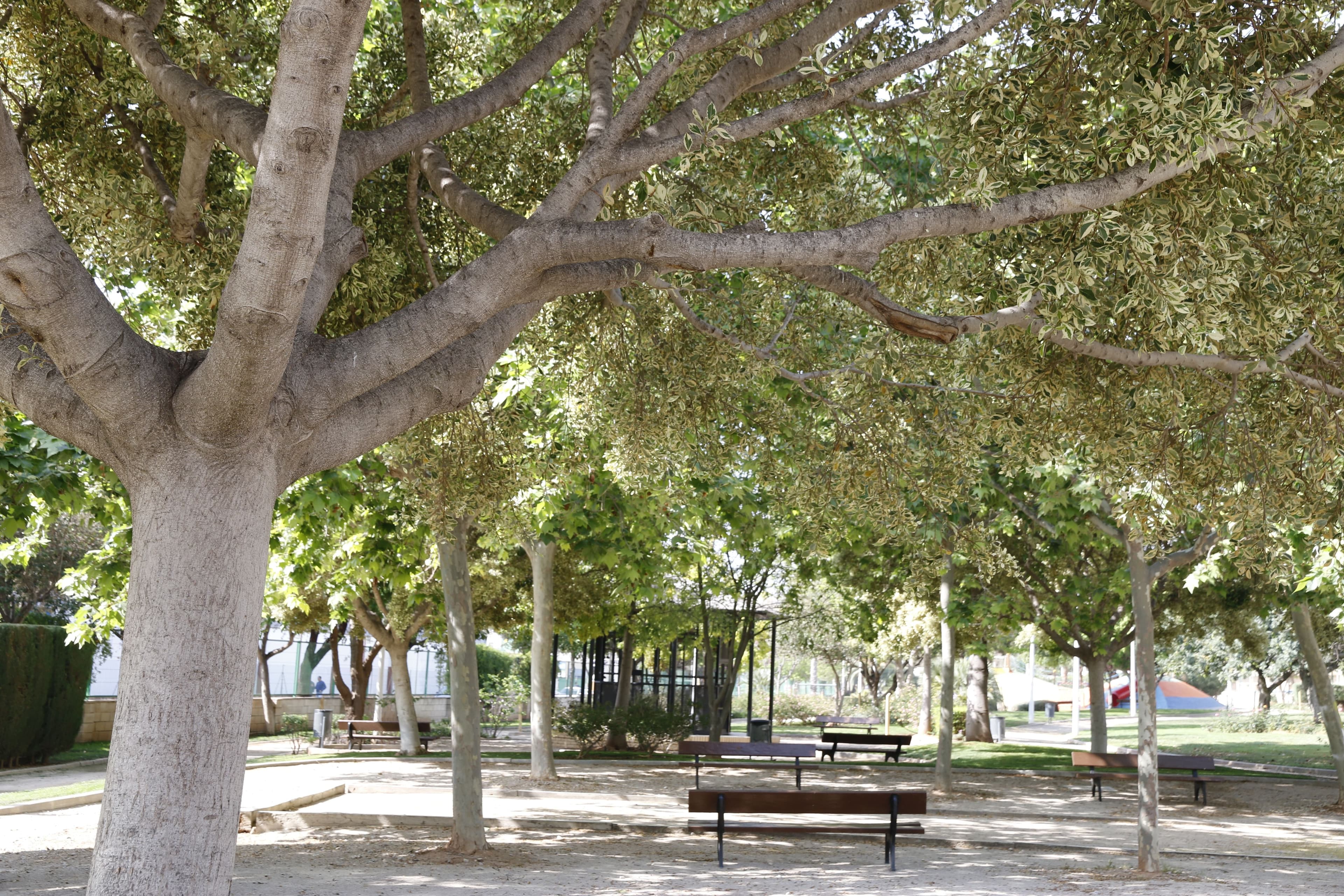 El parque Ribelles