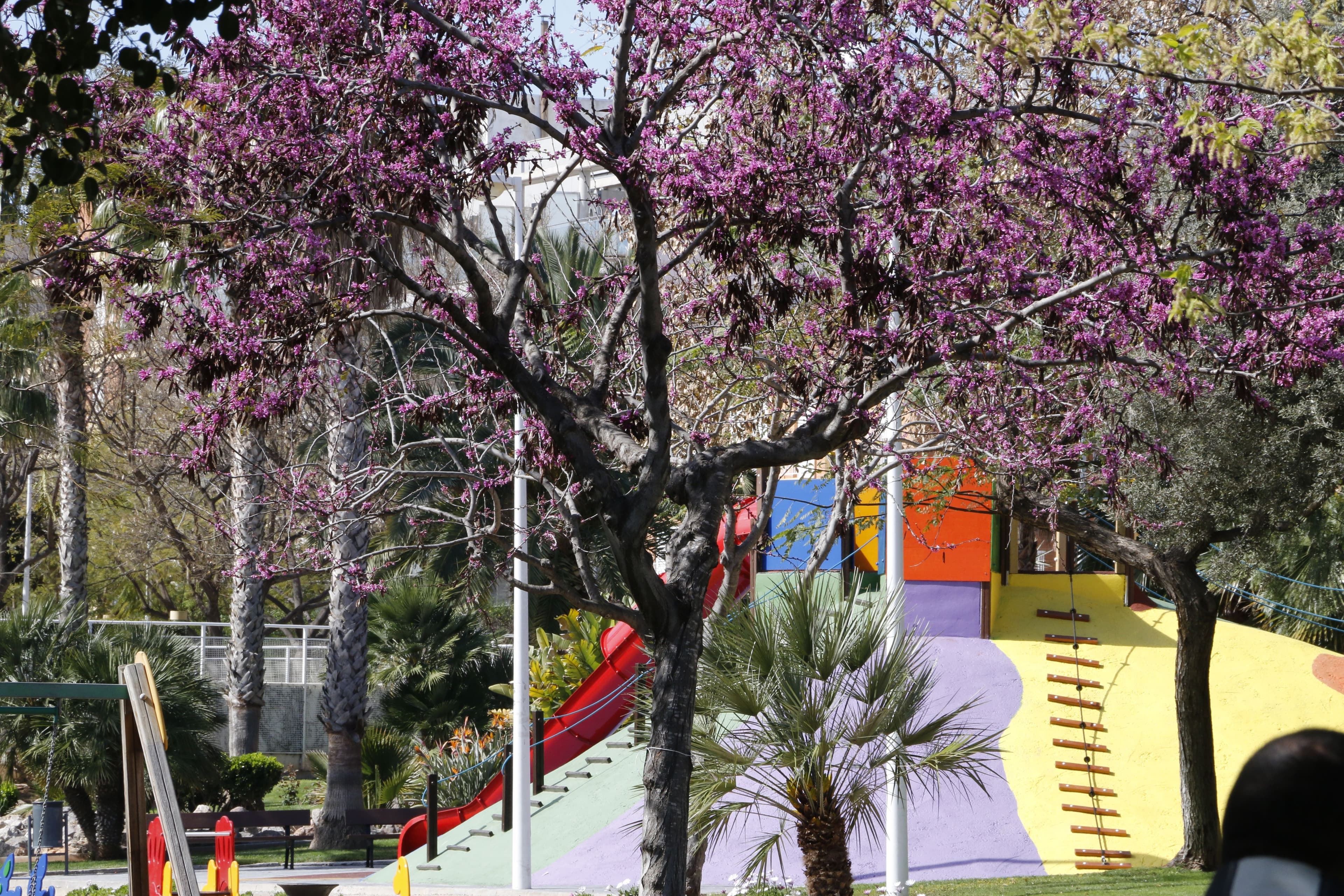 El parque Ribelles