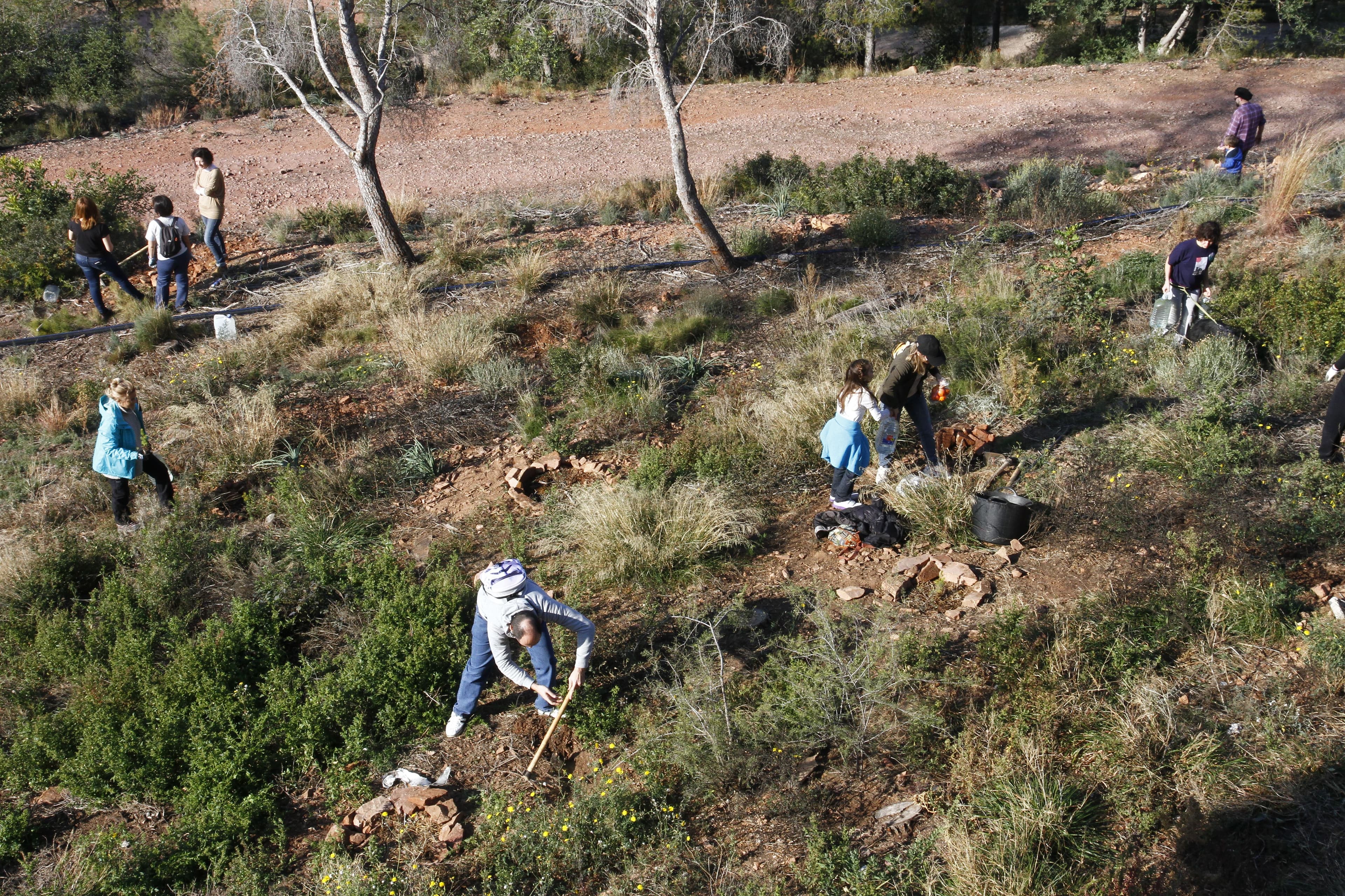 La Costera