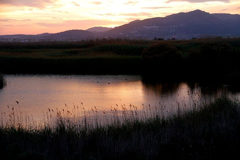 Marjal dels Moros