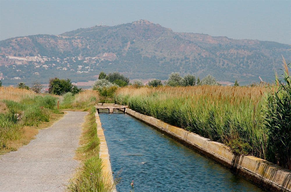 Marjal dels Moros